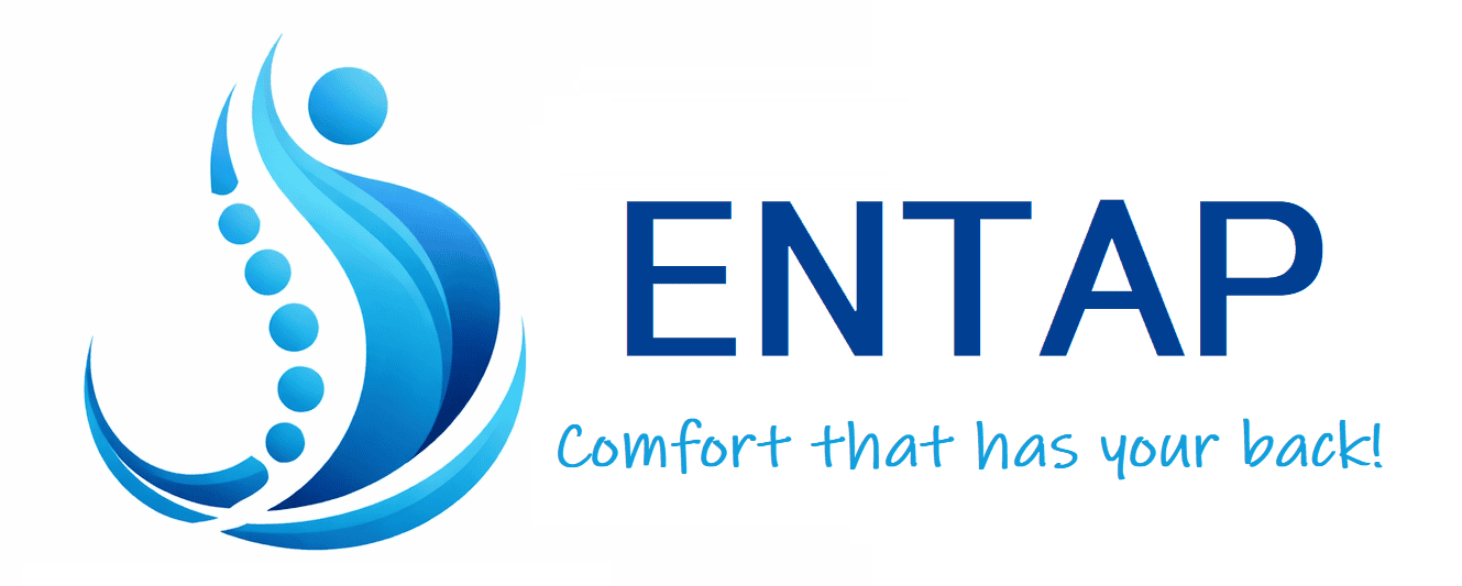 ENTAP – Back Support Cushions South Africa